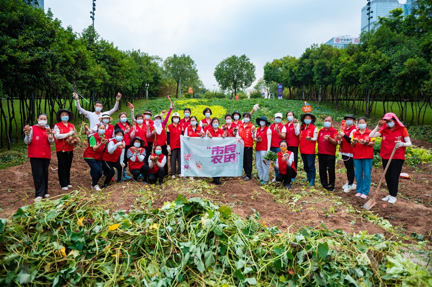 “市民農(nóng)田”讓身處繁華城市的市民也能體驗躬耕于隴畝的田園生活。邱曉潔攝
