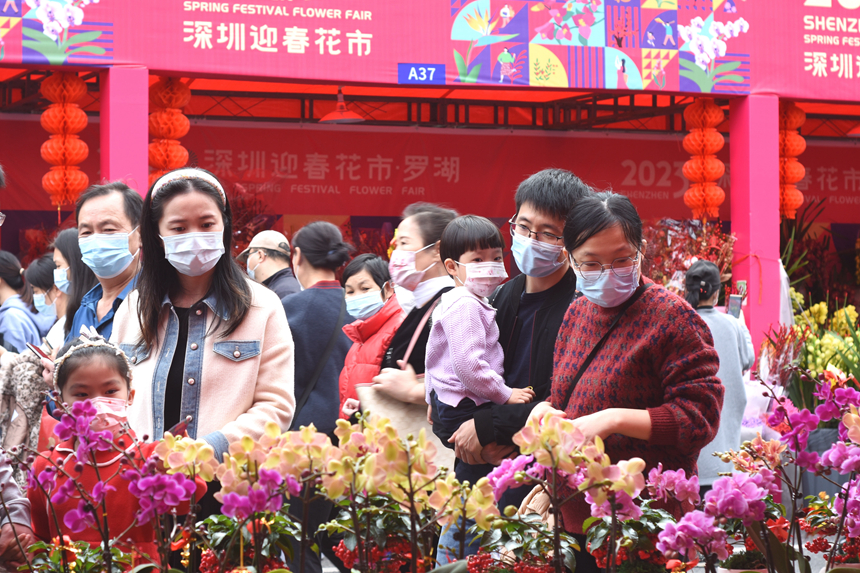 市民逛花市、買(mǎi)年花。劉森君攝