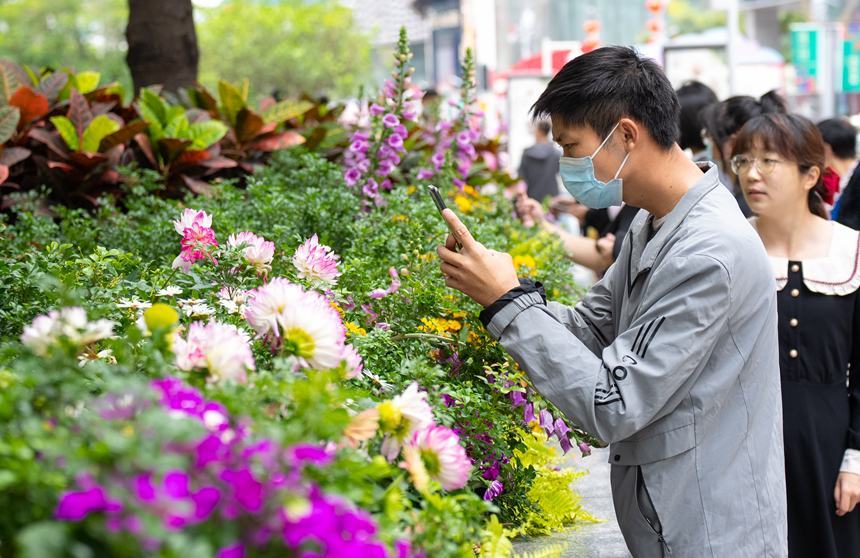 鮮花吸引市民拍照。王星 攝