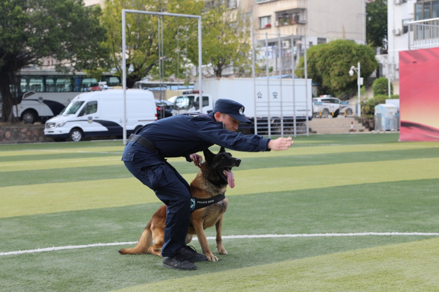 警犬訓(xùn)練。