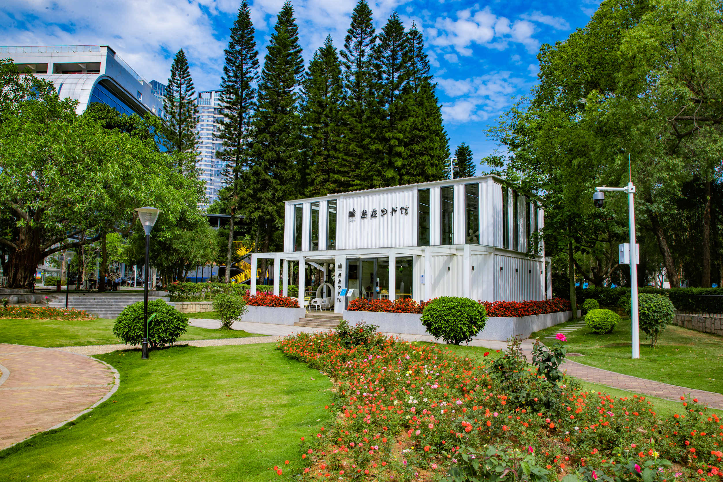 邂逅圖書館。鹽田區(qū)檔案館供圖