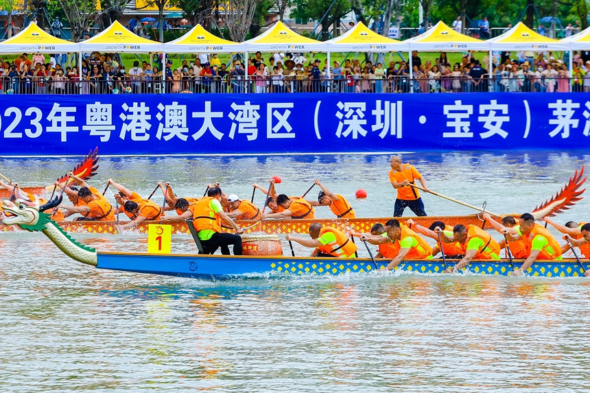 2023年粵港澳大灣區(qū)（深圳·寶安）茅洲河龍舟賽舉行。主辦方供圖