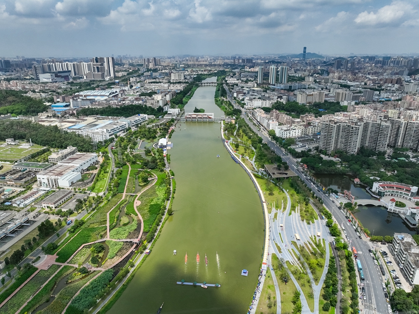 2023年粵港澳大灣區(qū)（深圳·寶安）茅洲河龍舟賽舉行。主辦方供圖