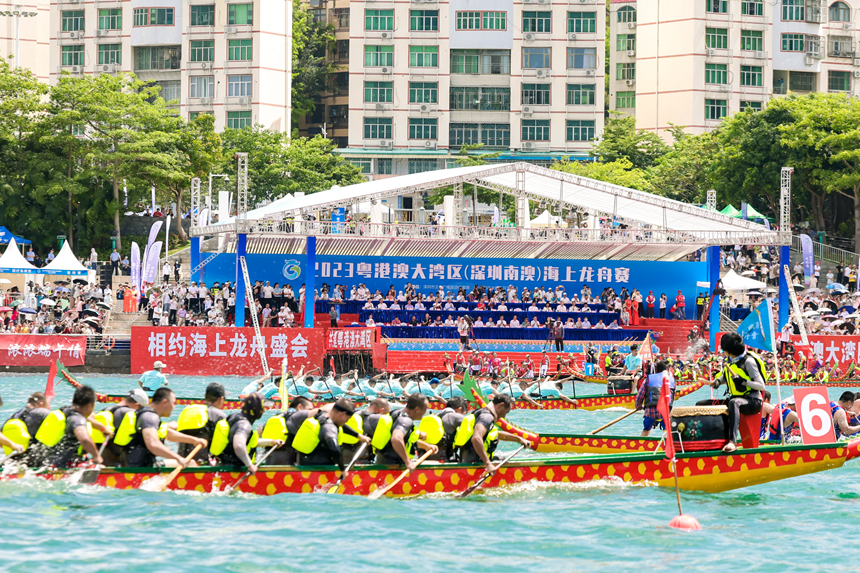 來自粵港澳大灣區(qū)11個城市的29支隊伍參賽。主辦方供圖